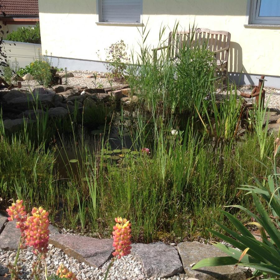 Ferienwohnung Zimmermann Birkenfeld  Bagian luar foto